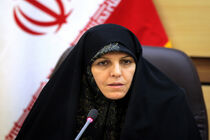 رکود اقتصادی ناشی از ابهامات در فضای سیاسی کشور است