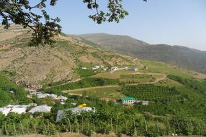روز ملی جنگل و کوهستان در تقویم رسمی کشور ثبت شد