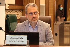 آزادسازی خودروهای برقی مشکل کمبود سوخت، انرژی و آلودگی هوا را کاهش می دهد