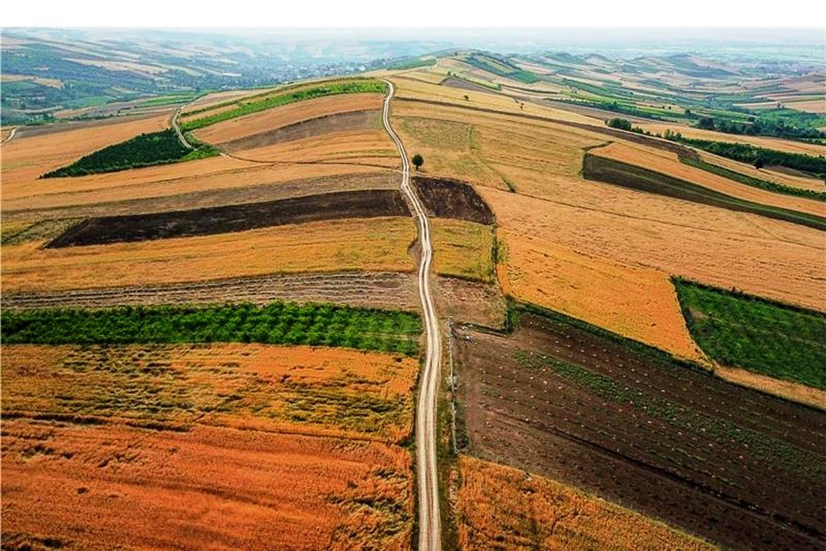 مزارع میاندورود