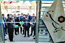 آمادگی بانک سینا برای سرمایه گذاری درحوزه نفت، گاز و پتروشیمی