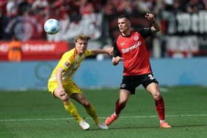 نوار بردهای لورکوزن قطع شد