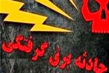 فوت 15 کرمانشاهی بر اثر برق گرفتگی در ده ماهه سال جاری