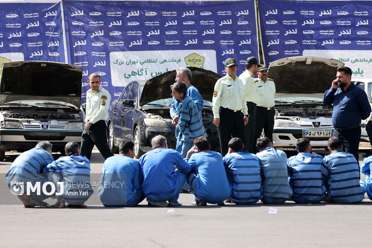طرح دستگیری سارقان و مالخران