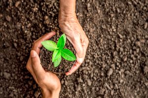 نوزدهمین نمایشگاه کشاورزی شیراز برپا می شود