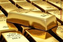 دستگیری سارق شمش های طلا توسط پلیس هرمزگان 