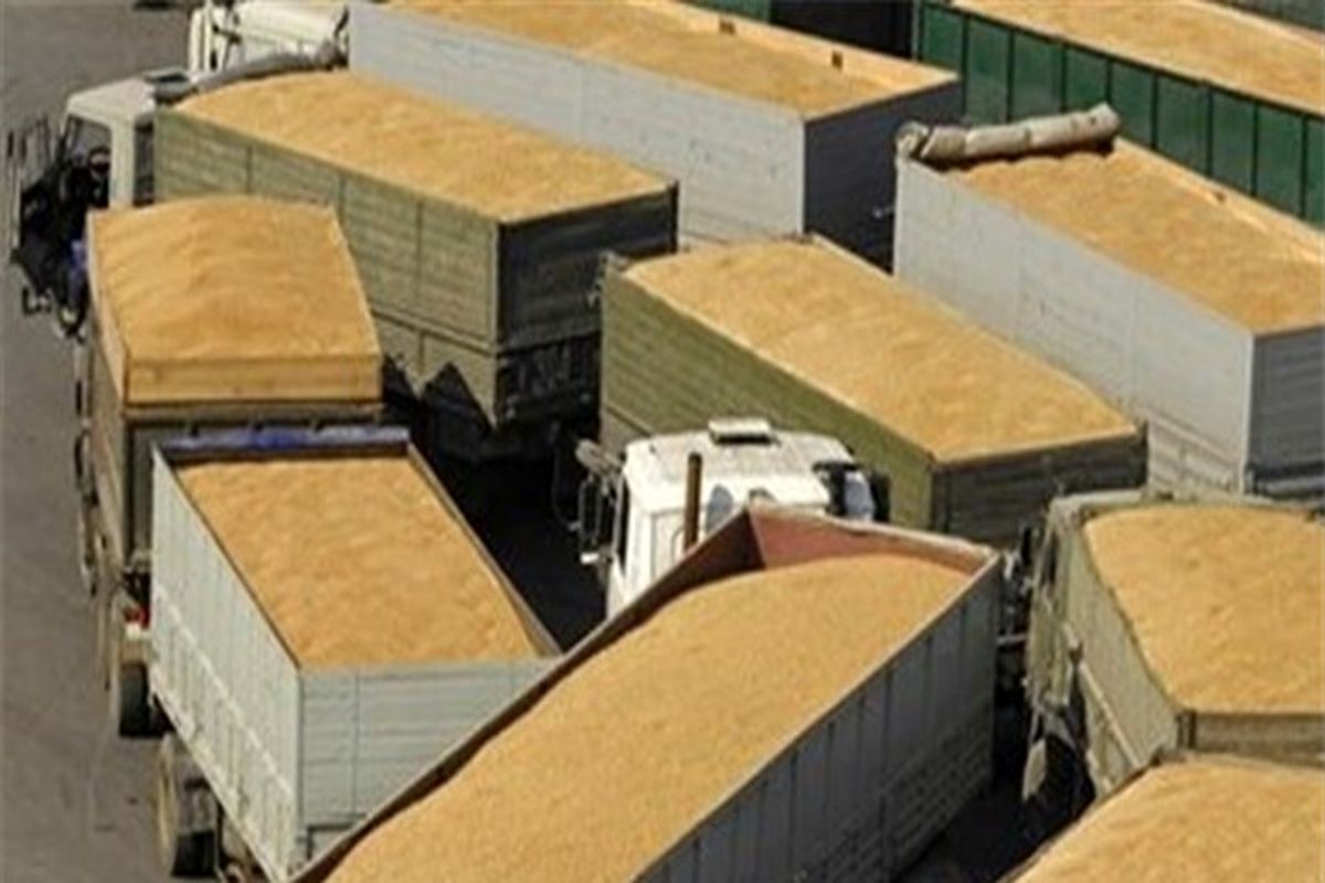 قاچاق خاک ایران به قطر