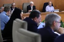 تأکید قائم‌پناه بر حمایت دولت از اقدامات بانک مرکزی