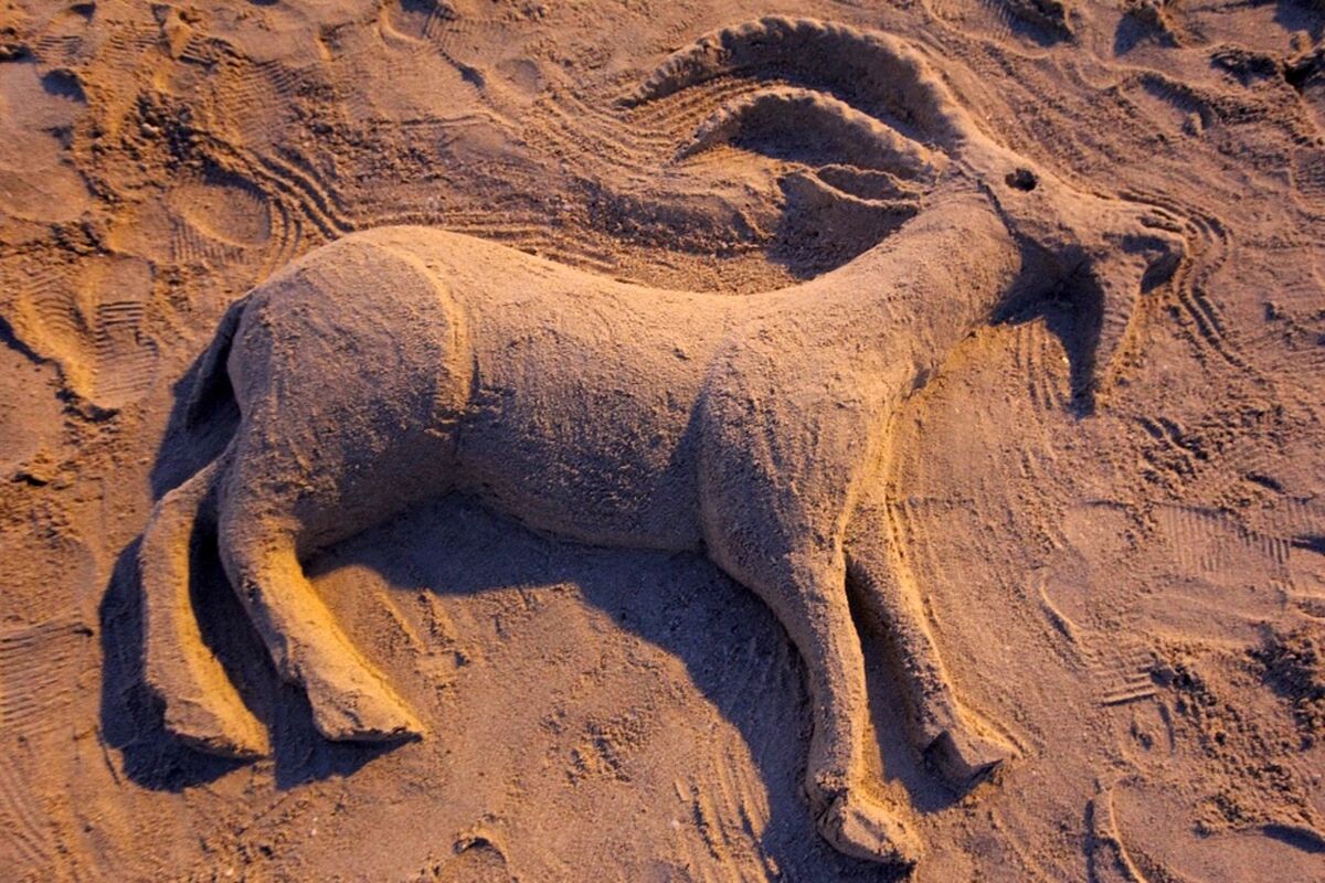 جشنواره مجسمه های شنی