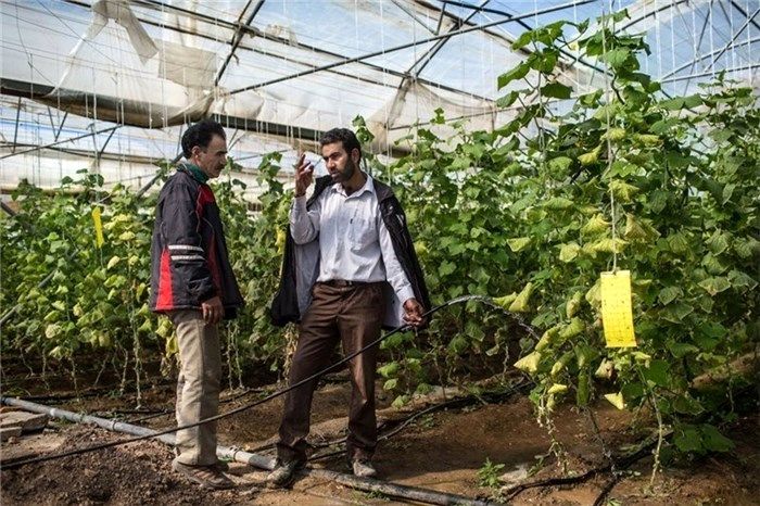صدور مجوز تاسیس ۲۴ شهرک خصوصی گلخانه ای/تنها راه علاج خشکسالی کشور توسعه گلخانه ها است