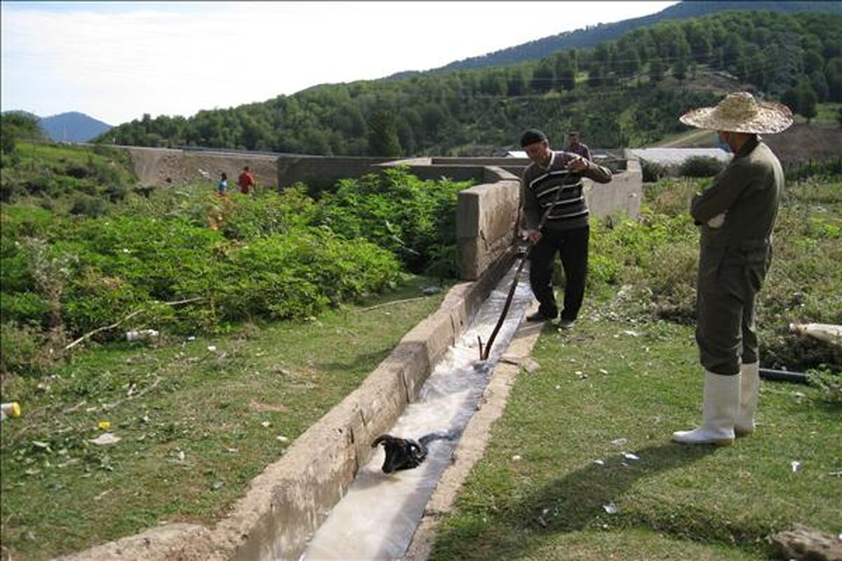 سم پاشی اماکن دامی