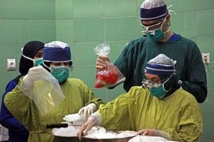 اعضای اهدایی یک بیمار مرگ مغزی به ۷ بیمار نیازمند جانی دوباره بخشید 