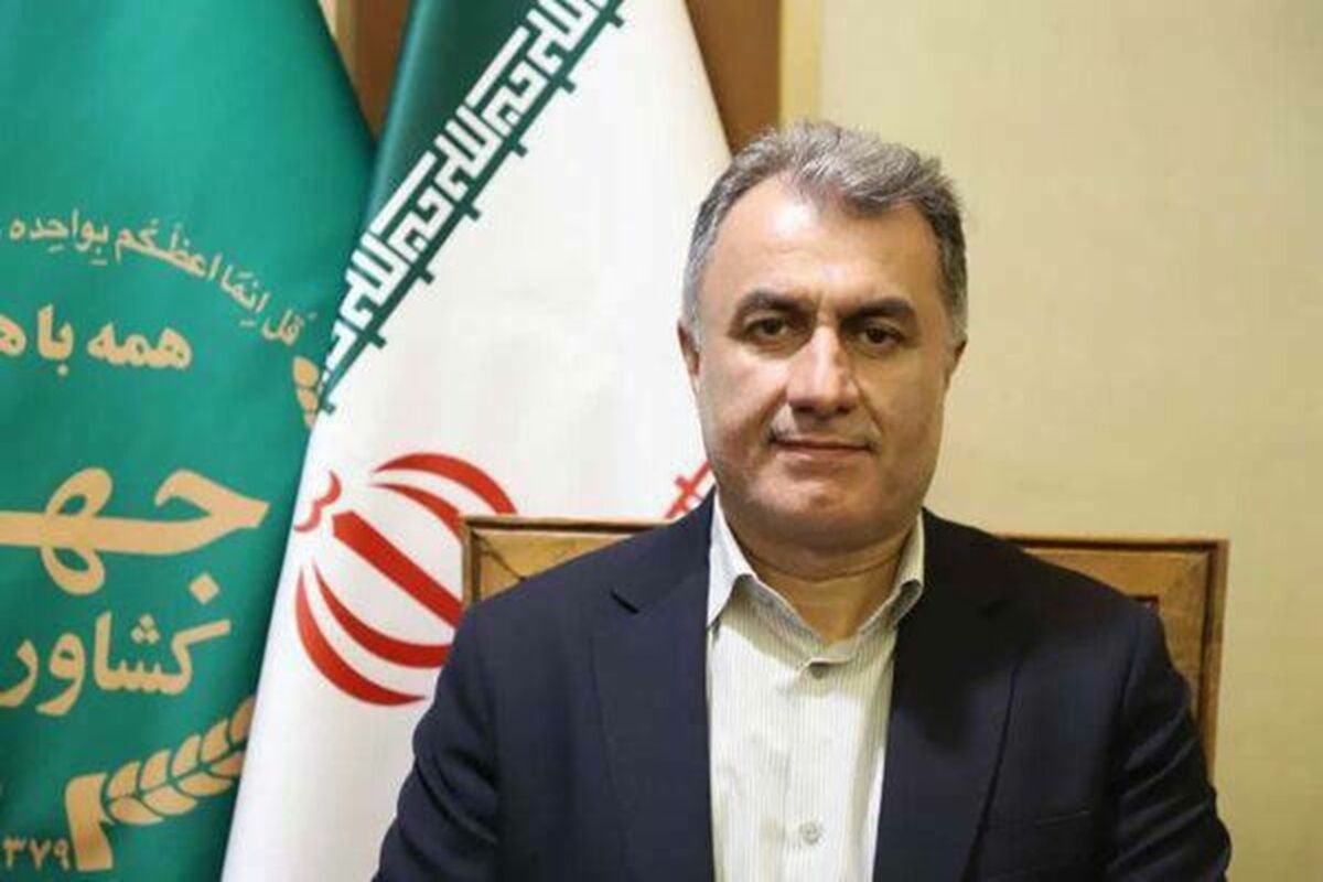 بیمه صندوق کشاورزی