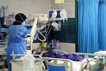 بستری شدن 31 بیمار کرونایی در هرمزگان/ وضعیت 7 نفر نامساعد است 