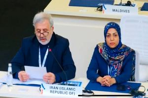 ایران عضو دو رکن کلیدی تصمیم‌سازی سازمان توسعه صنعتی شد