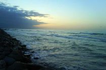 اعتباراتی برای کشت شورورزی با آب دریا تعیین شد