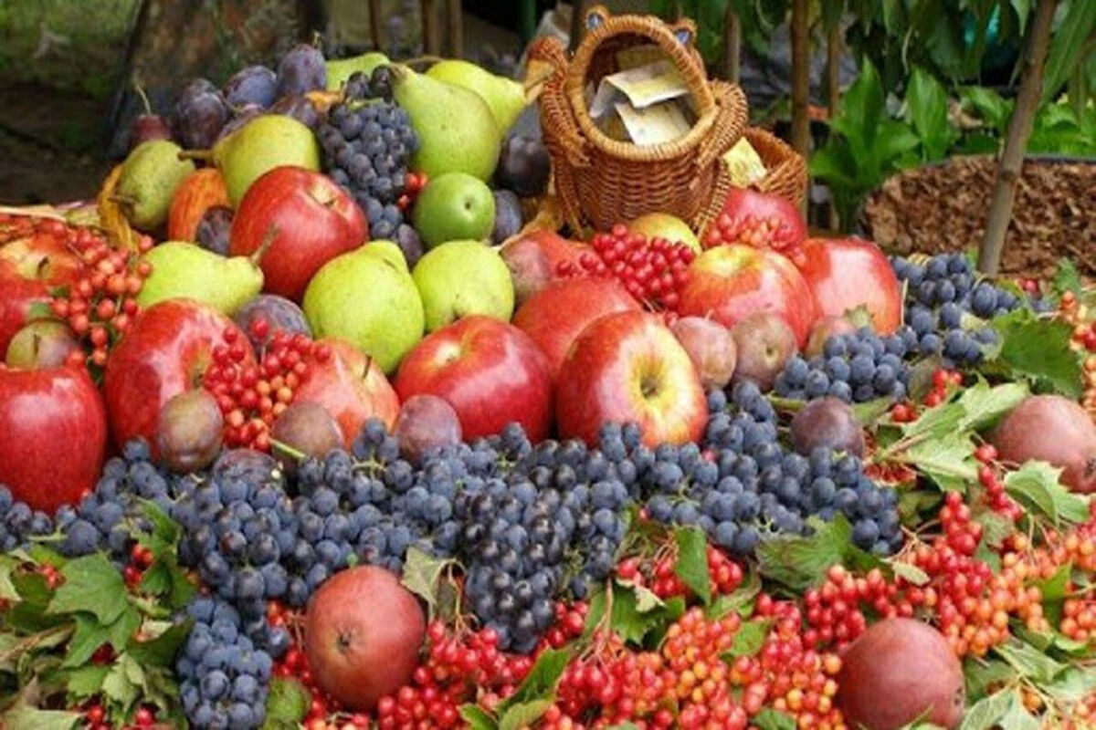 محصولات باغی در خراسان رضوی