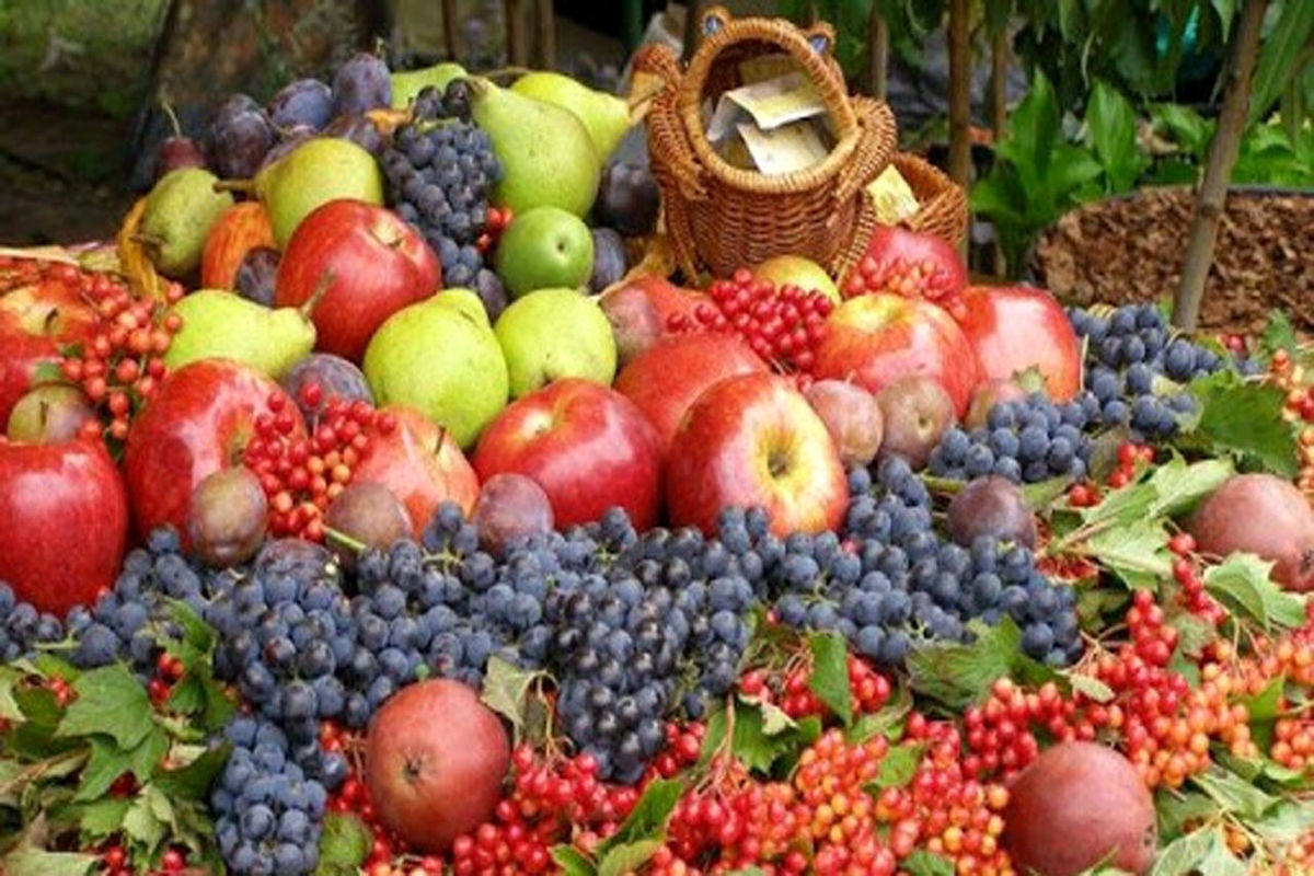 محصولات باغی در خراسان رضوی