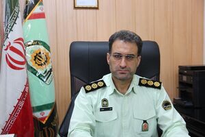 افزایش 78 درصدی کشفیات سرقت در سطح استان ایلام