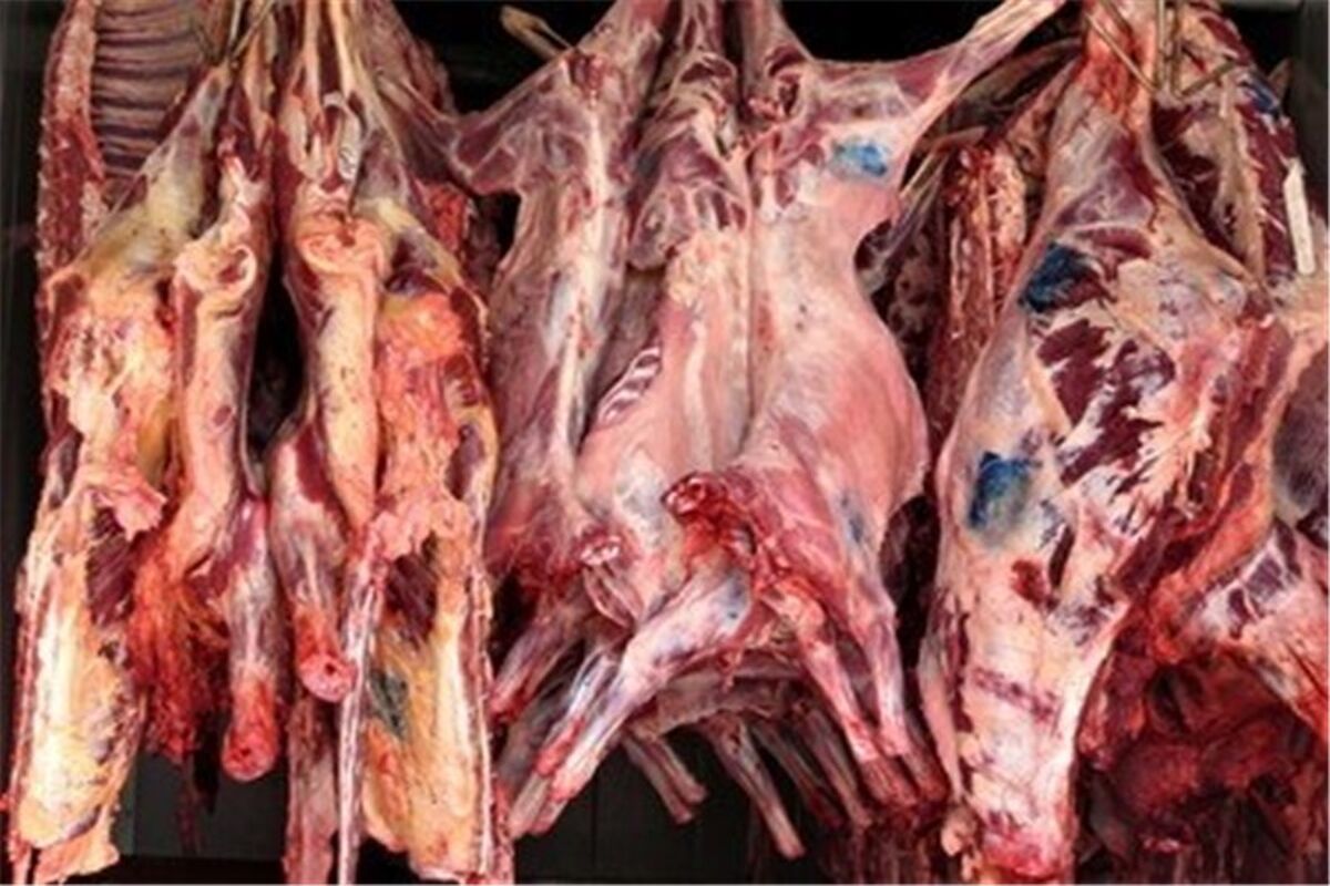 گوشت فاسد