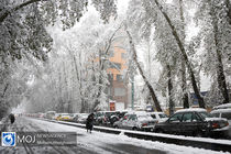 چگونه زنجیر چرخ ببندیم؟ + عکس و فیلم