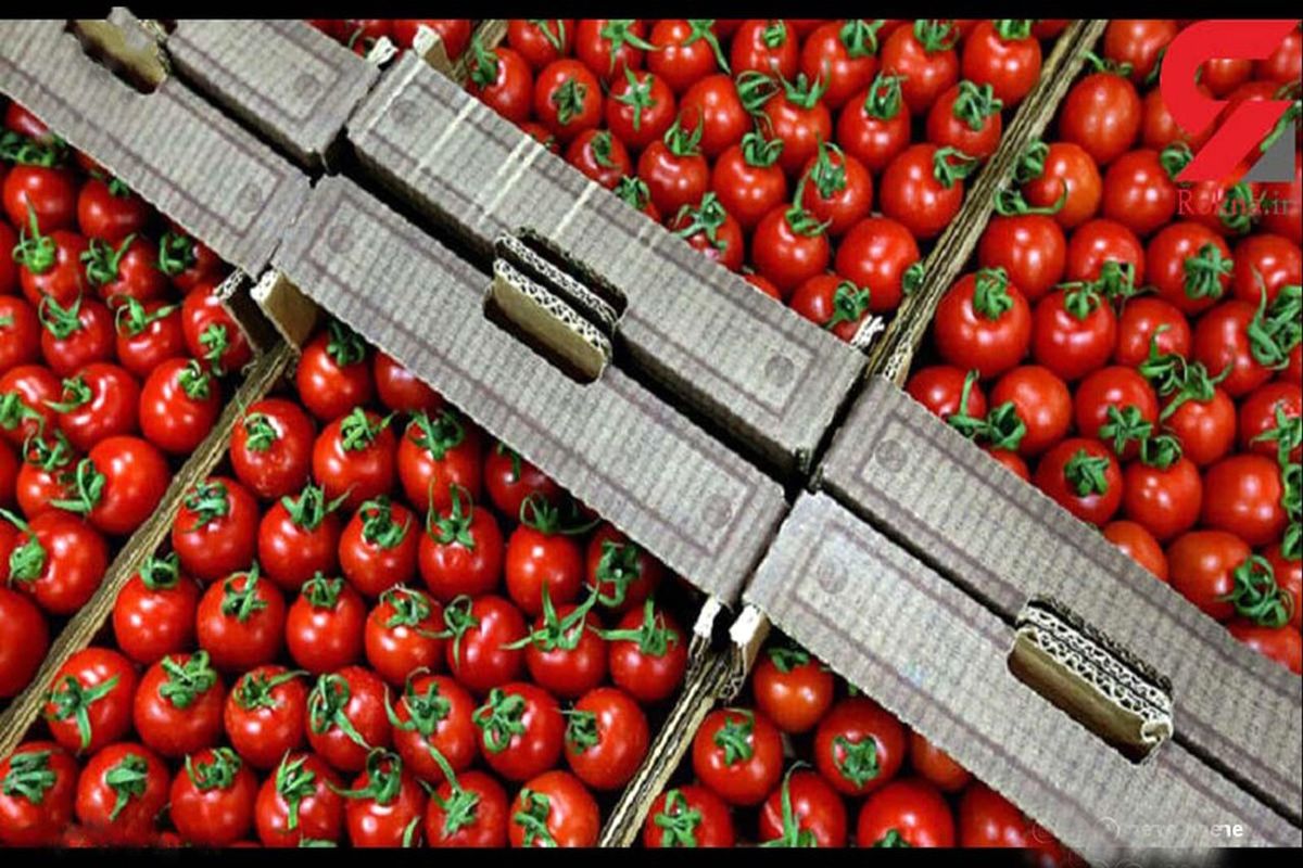 صادرات محصولات کشاورزی از خراسان رضوی