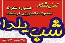 اولین نمایشگاه و جشنواره شکرانه محصولات کشاورزی کرمانشاه برگزار می‌شود