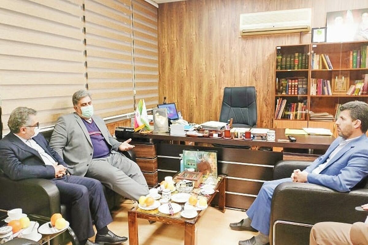 بانک توسعه تعاون