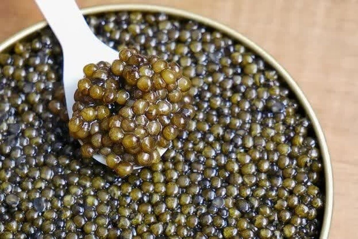 شیلات آذربایجان شرقی 