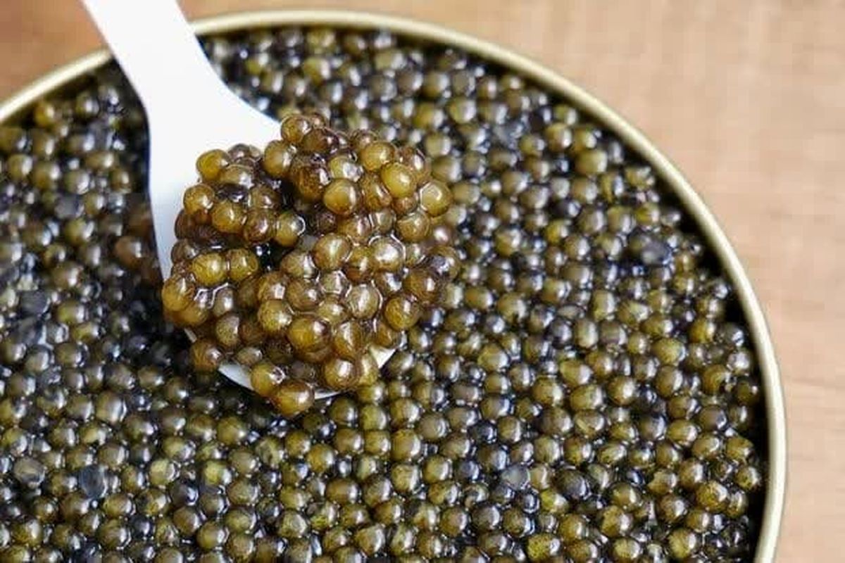 شیلات آذربایجان شرقی 