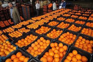 توزیع 600 تن پرتقال و سیب شب عید در مازندران