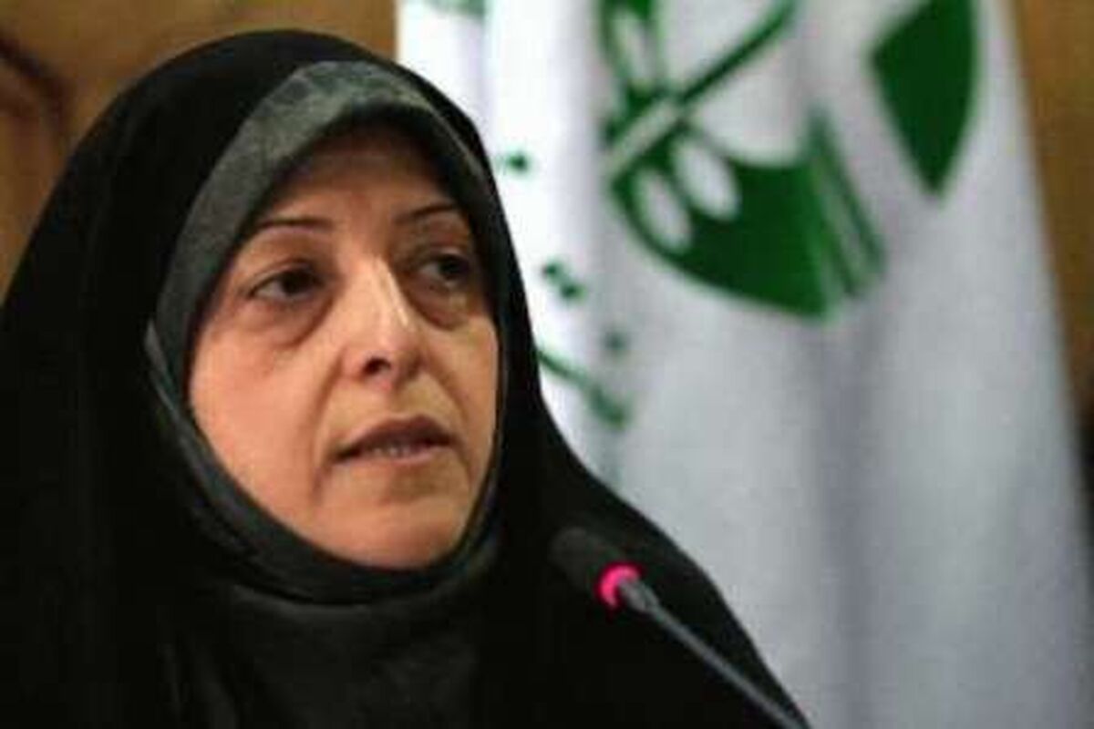 رییس سازمان حفاظت محیط زیست