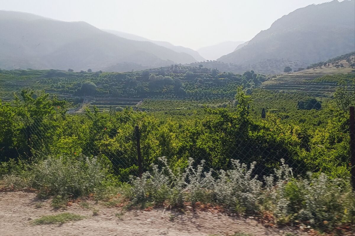 کوهمره سرخی شیراز 