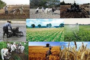 بیش از ٨٠ درصد اعتبارات وزارت جهاد کشاورزى در  بخش آب و خاک /٤٢ هزار هکتار کانون بحرانى ریز گرد در خوزستان