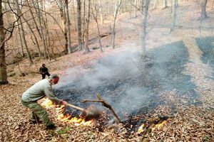 آتش سوزی در منطقه جنگلی الندان کیاسر مهار شد