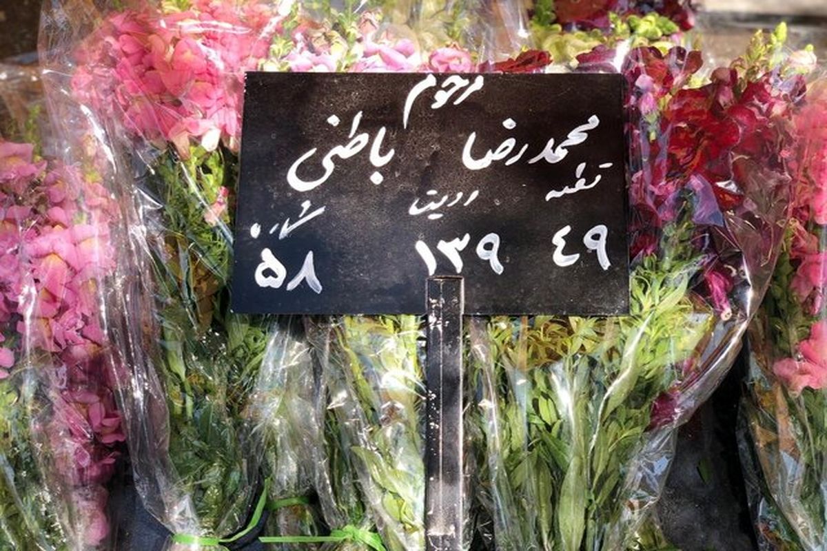 محمدرضا باطنی