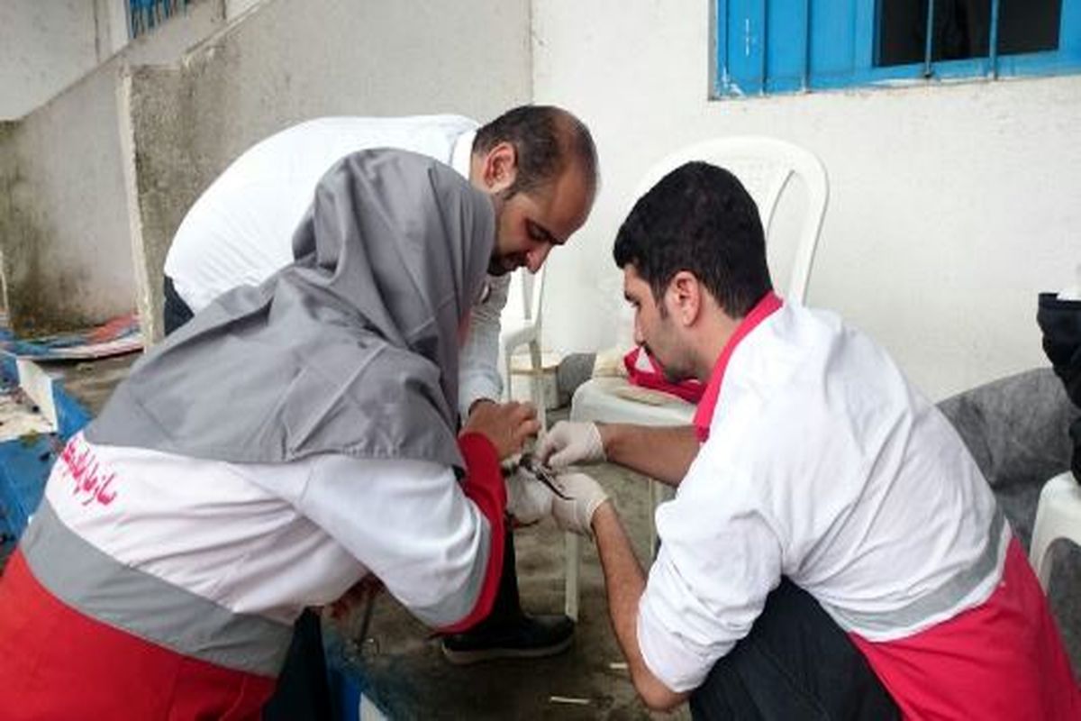 پرنده نوک خنجری