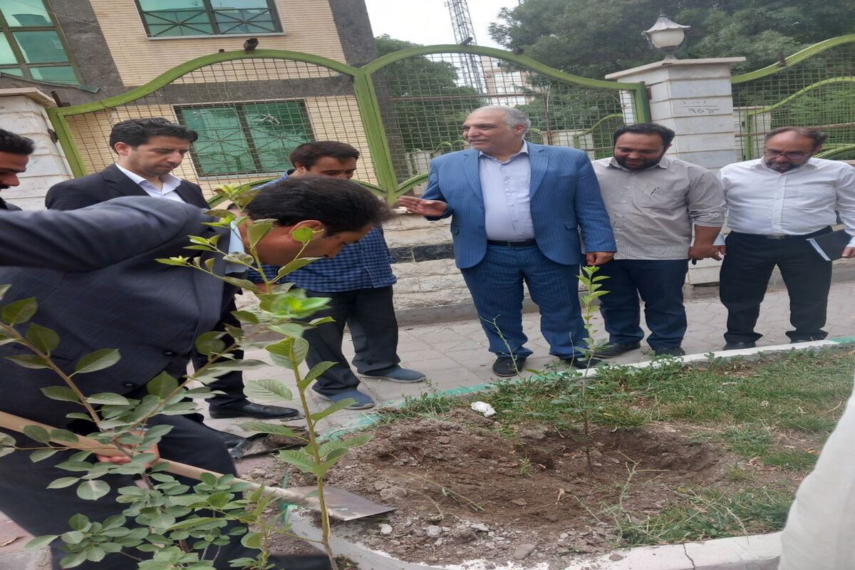 کاشت درخت به یاد خبرنگاران فقید استان اردبیل
