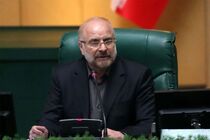 رئیس مجلس میلاد مسیح (ع) و آغاز جشن‌های کریسمس را تبریک گفت