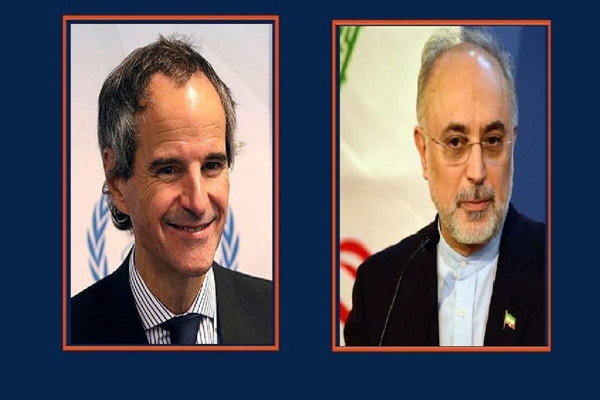 صالحی