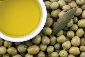 کنسرسیوم زیتون به زودی تشکیل می شود