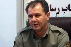 محیط بان دنای شرقی با گلوله شکارچیان زخمی شد