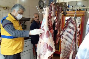 تاکید سرپرست فرمانداری یزد بر نقش مهم شبکه دامپزشکی در سلامت مردم