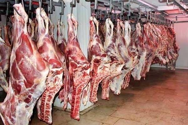 افزایش عرضه گوشت قرمز در شهریور نسبت به پارسال به ۳۵ درصد رسید