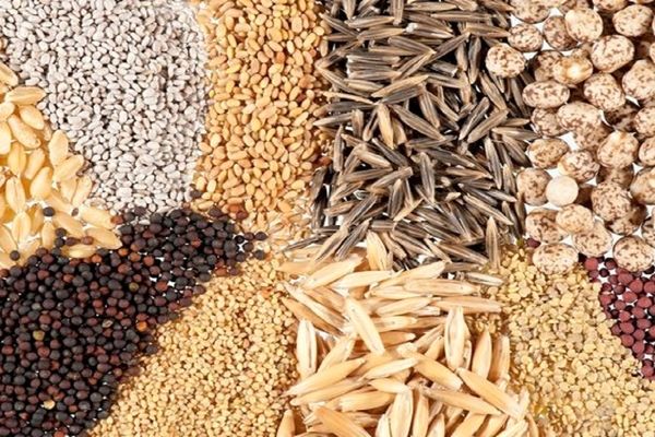 حمایت ویژه دولت از عشایر در تأمین نهاده‌های دامی/
۲۰۰۰ تن نهاده دامی در اختیار عشایر استان فارس قرار گرفت