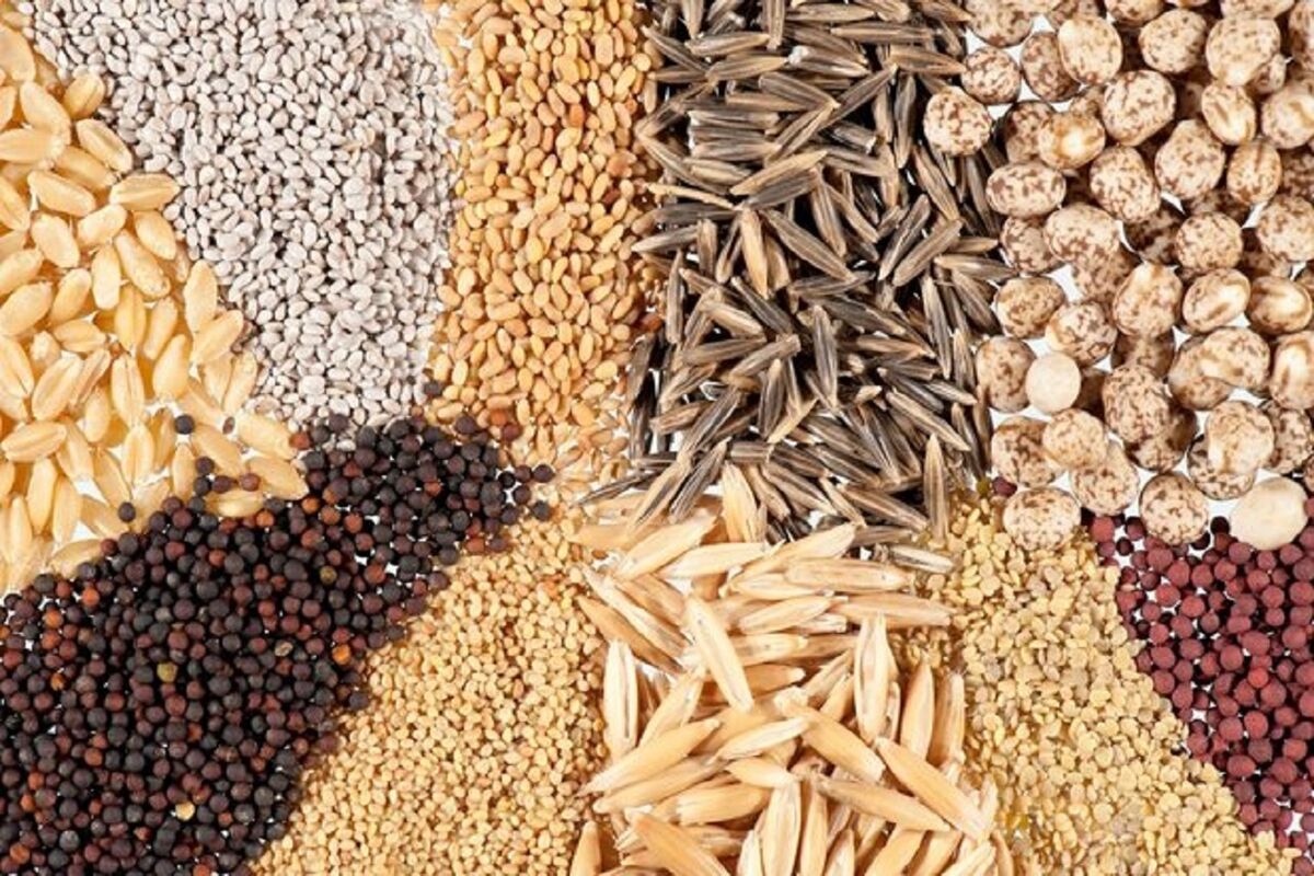 جهاد کشاورزی فارس 