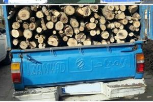 کشف و ضبط  15 تن هیزم غیرمجاز جنگلی در عباس آباد