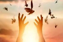 آزادی دهمین زندانی محکوم به قصاص در هرمزگان 