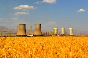 اتمام 15 فعالیت تعمیراتی در نیروگاه شهید رجایی