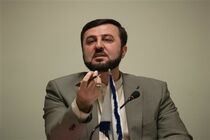 احمد شهید در موقعیتی نیست که درباره قوانین کیفری و اجرای احکام اظهارنظر کند